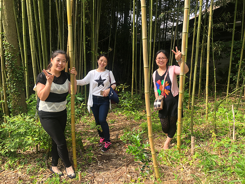 微信圖片_201806221027164.jpg
